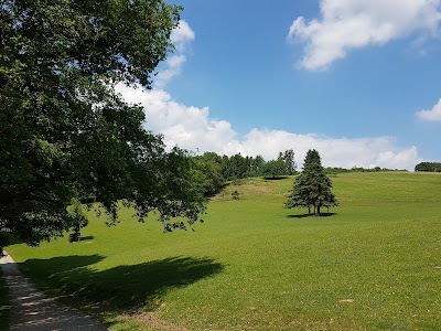 Photos of Wild-Freizeitpark-Westerwald