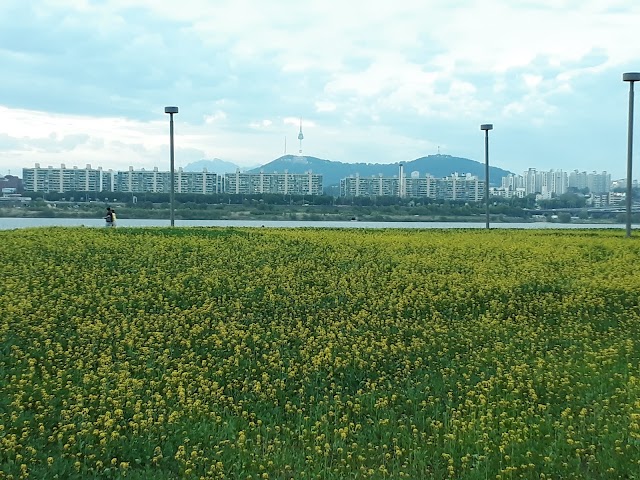 Seoul Floating Island