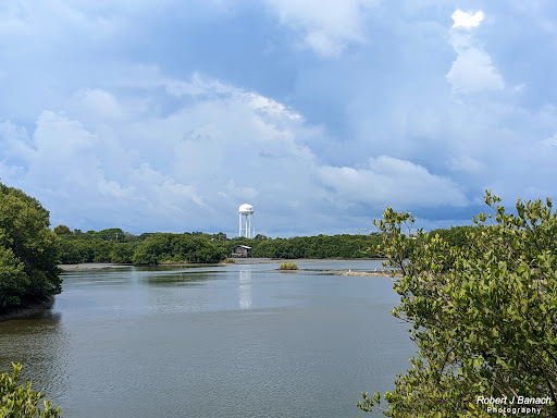 Cedar Key Railroad Trestle Nature Trail - Thumbnail