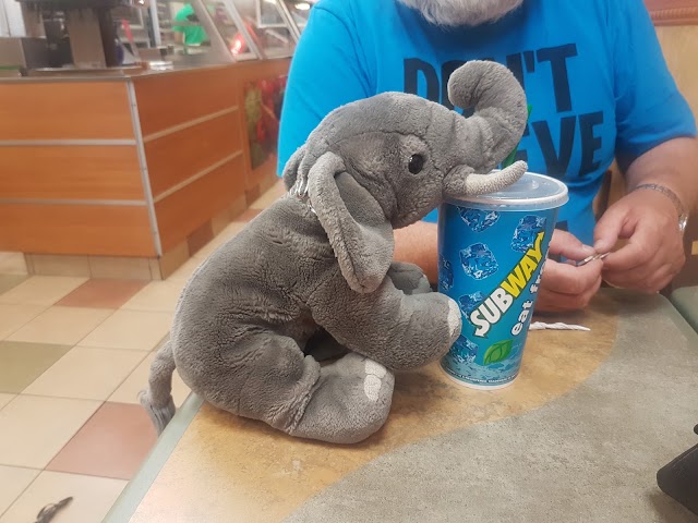 Subway Restaurant