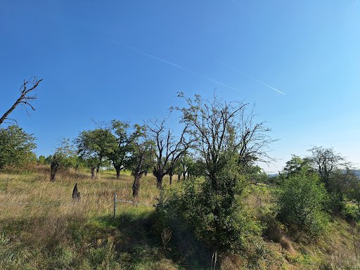 Aussichtspunkt Igelsberg - Thumbnail