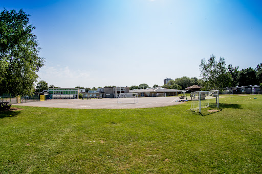 The Grove Academy - Thumbnail