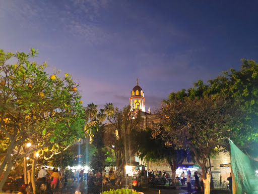 Jardín Hidalgo Gallery - Mexico