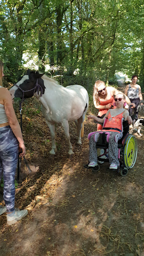 Al'o cheval ici la terre - Médiation Animale