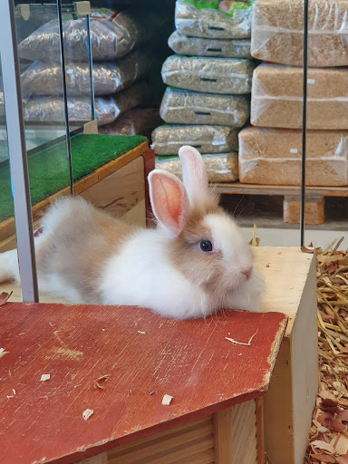 Petfriends Aigle - Thumbnail