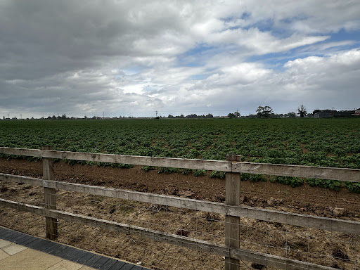 West Butterwick - Thumbnail