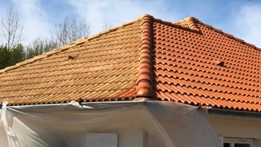 Photo de DL Habitat (Couvreur/Réparation/Démoussage/Traitement toiture)