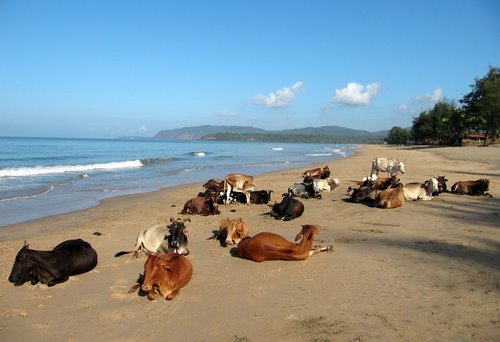 AGONDA BEACH GOA