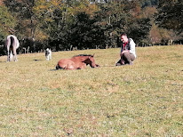 Le Hogan à Saint-Jeure-d'Ay