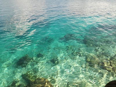 Photos of Utila Cays Diving