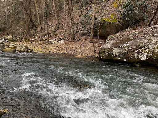 Pocket Wilderness - Thumbnail