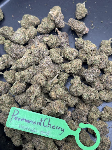 Relax Cannabis Samui