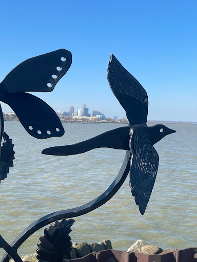 Lakefront Nature Preserve Overlook - Thumbnail