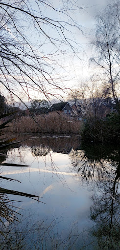 Frenches Ponds - Visual