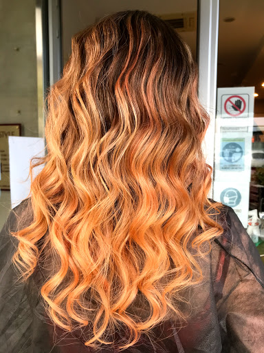 Roberta Style - Visual