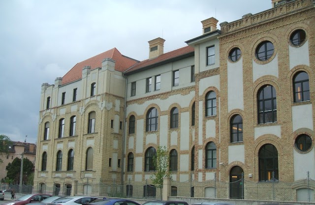 Uzsoki Street Hospital