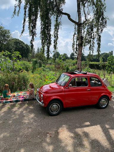 Oldtimer verhuur Mill - Fiat 500 om te toeren of als trouwauto in het Land van Cuijk! - Thumbnail