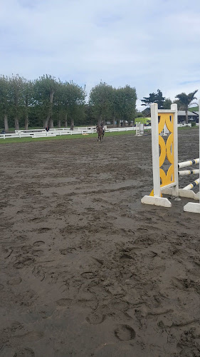 Reviews of Woodhill Sands Equestrian Events Centre in Helensville - Sports Complex