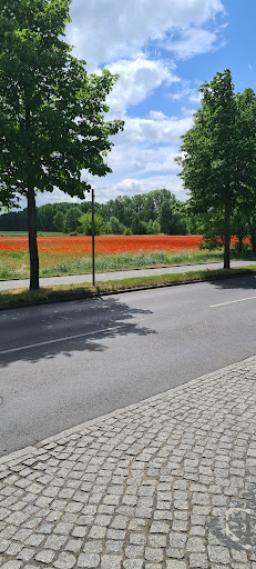 Fafnerstr. (Berlin) - Visual