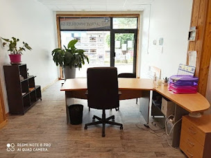 Photo n°1 de LA GRIVE IMMOBILIER à La Chambre (Agence immobilière)