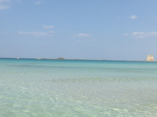 Solemarebarocco - Visual
