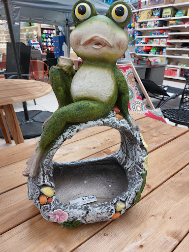 Intersport Coutances - Thumbnail