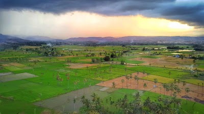 Photos of Palindi Pinulaileo