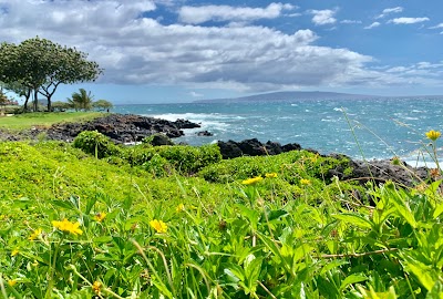 Wailea Beach Path