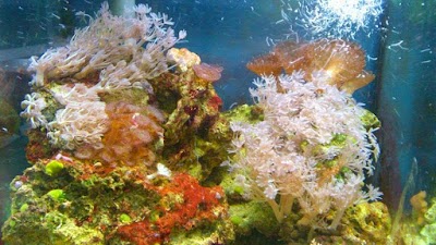 Photos of Aquaristik-Zentrum
