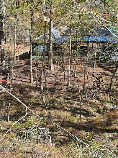 Canopy Challenge Course at Fall Creek Falls State Park