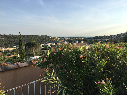 Julien Soualle IAD France - Thumbnail