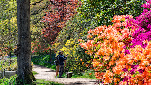 Leonardslee Lakes & Gardens Brighton Road, Horsham RH13 6PP, United Kingdom