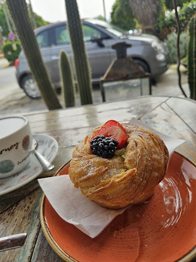 Il Dolce Risveglio - Visual