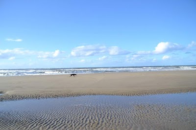 Photos of Tessels Lodging Vacation Bureau