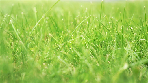 Photo de Ar Bradenn, aménagement et création de jardins sur-mesure et d'assainissement