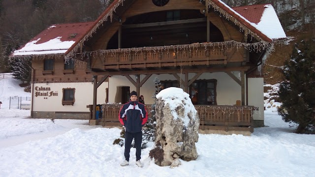 Cabana Plaiul Foii