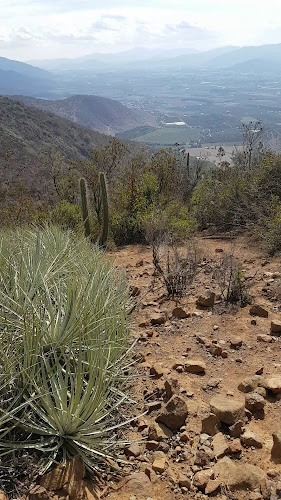 Opiniones de Río Maipo en Isla de Maipo - Camping