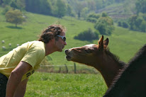Elevage du gonge à Châtel-Montagne