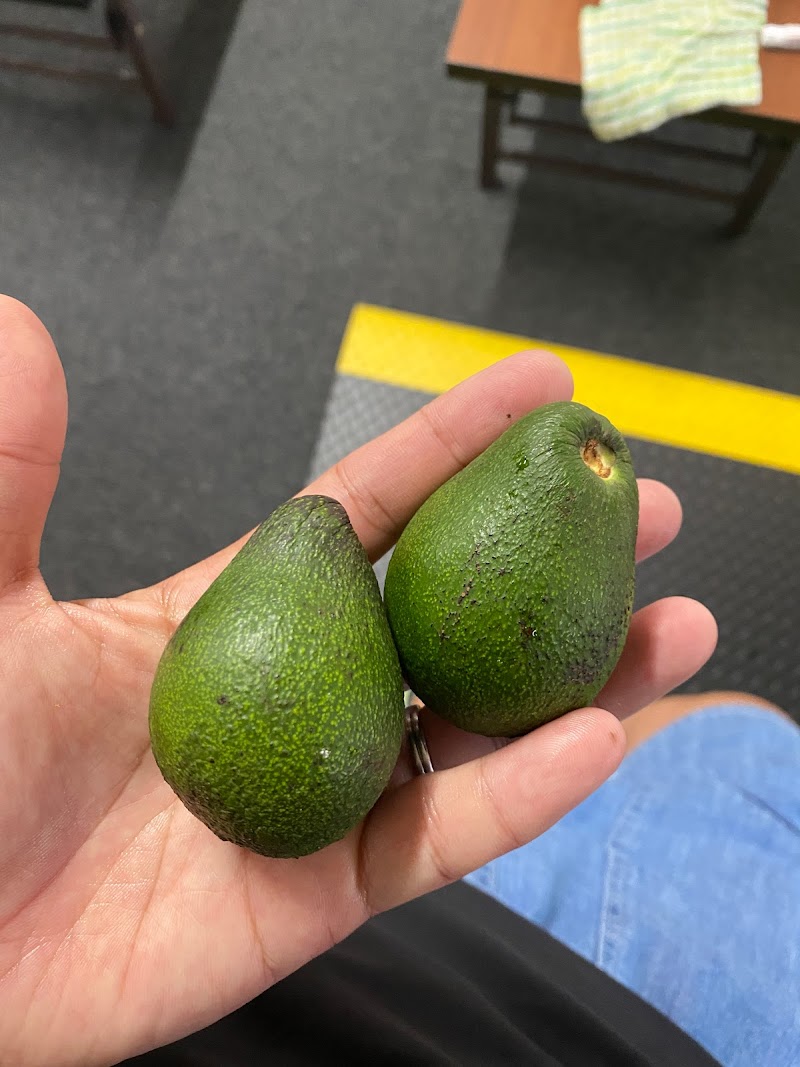 西区千代崎学童クラブ