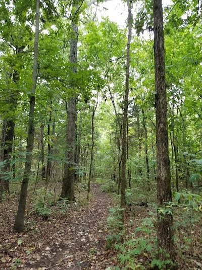 Mcleansboro Municipal Park