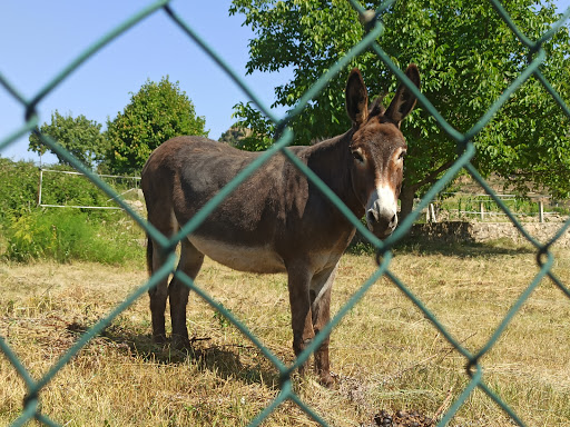 Quads de Pagès