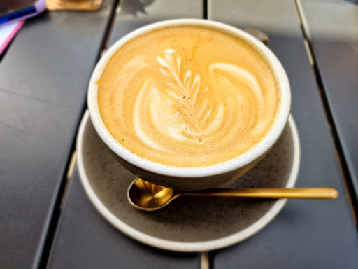 Arbuste Café Caen - Thumbnail
