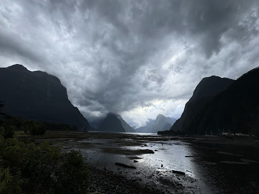 Discover Milford Sound Cruises Information Centre & Café - Thumbnail