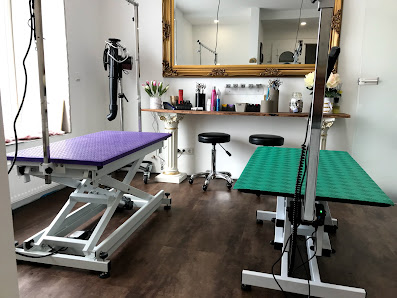 Bild: Hundesalon Mighty Crown Innenansichten