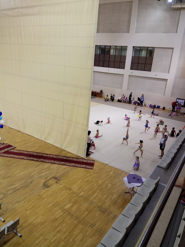 Дворец спорта самара 2024