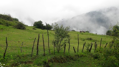 park