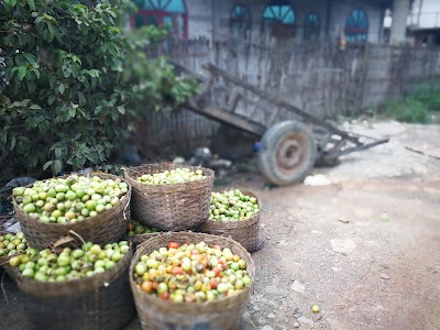 Photos of Sin Yaw Guesthouse