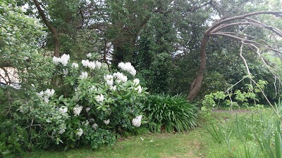 Photos of Dromkeen