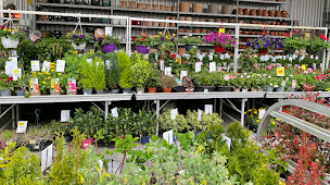 Photo n°7 de Bricomarché à Dax (Magasin de bricolage)