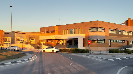 Edificio municipal multidisciplinar - Visual